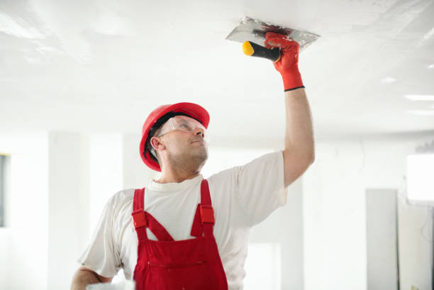 Best Drywall Removal and Disposal  in Babbitt, MN